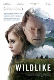 Дикость постер к фильму смотреть онлайн на HD Rezka