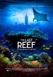 Последний риф 3D постер к фильму смотреть онлайн на HD Rezka