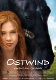 Восточный ветер постер к фильму смотреть онлайн на HD Rezka
