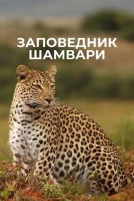 Заповедник Шамвари постер к фильму смотреть онлайн на HD Rezka