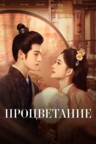 Процветание постер к фильму смотреть онлайн на HD Rezka