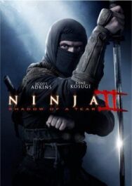 Ниндзя 2 постер к фильму смотреть онлайн на HD Rezka