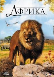Африка 3D постер к фильму смотреть онлайн на HD Rezka