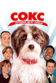Сокс. Лучший друг семьи постер к фильму смотреть онлайн на HD Rezka