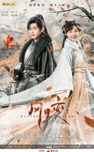 Любовь бабочки постер к фильму смотреть онлайн на HD Rezka