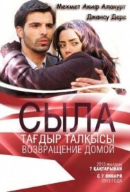 Сыла. Возвращение домой постер к фильму смотреть онлайн на HD Rezka