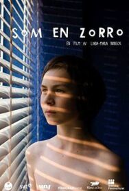 Такой, как Зорро постер к фильму смотреть онлайн на HD Rezka