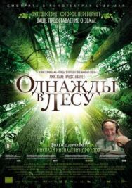 Однажды в лесу постер к фильму смотреть онлайн на HD Rezka