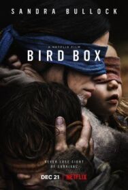 Птичий короб постер к фильму смотреть онлайн на HD Rezka