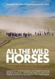 All the Wild Horses постер к фильму смотреть онлайн на HD Rezka