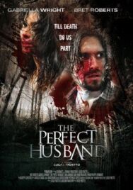 Идеальный муж постер к фильму смотреть онлайн на HD Rezka