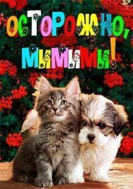Симпатичные котята и щенки постер к фильму смотреть онлайн на HD Rezka
