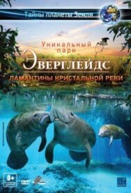 Эверглейдс 3D: Ламантины Кристальной реки постер к фильму смотреть онлайн на HD Rezka
