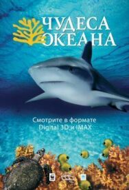 Чудеса океана 3D постер к фильму смотреть онлайн на HD Rezka
