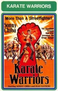 Воины карате постер к фильму смотреть онлайн на HD Rezka
