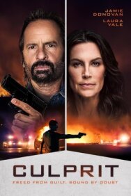 Преступник постер к фильму смотреть онлайн на HD Rezka