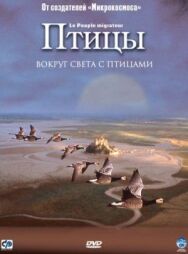 Птицы постер к фильму смотреть онлайн на HD Rezka