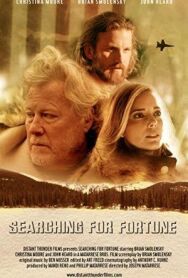 В поисках счастья постер к фильму смотреть онлайн на HD Rezka