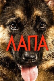 Лапа постер к фильму смотреть онлайн на HD Rezka