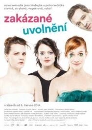 Запретное расслабление постер к фильму смотреть онлайн на HD Rezka