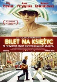Билет в один конец на Луну постер к фильму смотреть онлайн на HD Rezka
