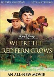 Цветок красного папоротника постер к фильму смотреть онлайн на HD Rezka