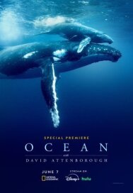 Океан с Дэвидом Аттенборо постер к фильму смотреть онлайн на HD Rezka