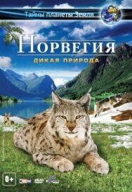 Норвегия 3D: Дикая природа постер к фильму смотреть онлайн на HD Rezka