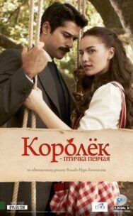 Королёк – птичка певчая постер к фильму смотреть онлайн на HD Rezka