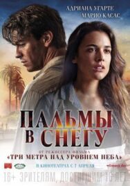 Пальмы в снегу постер к фильму смотреть онлайн на HD Rezka