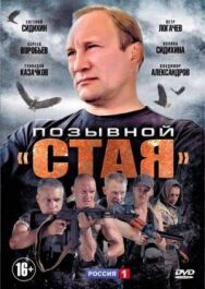 Позывной «Стая» постер к фильму смотреть онлайн на HD Rezka