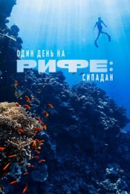 Один день на рифе: Сипадан постер к фильму смотреть онлайн на HD Rezka