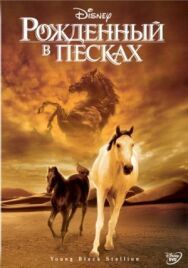 Рожденный в песках постер к фильму смотреть онлайн на HD Rezka