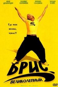 Брис Великолепный постер к фильму смотреть онлайн на HD Rezka