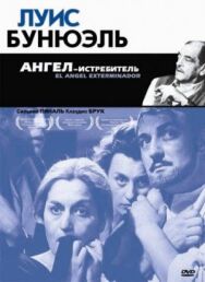 Ангел-истребитель постер к фильму смотреть онлайн на HD Rezka