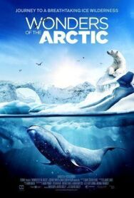 Чудеса Арктики постер к фильму смотреть онлайн на HD Rezka