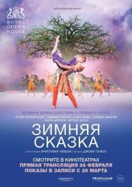 Зимняя сказка постер к фильму смотреть онлайн на HD Rezka