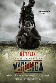 Вирунга постер к фильму смотреть онлайн на HD Rezka