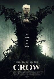 Ворон постер к фильму смотреть онлайн на HD Rezka