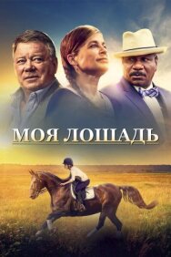 Моя лошадь постер к фильму смотреть онлайн на HD Rezka
