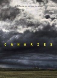 Канарейки постер к фильму смотреть онлайн на HD Rezka