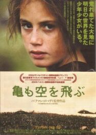 И черепахи умеют летать постер к фильму смотреть онлайн на HD Rezka