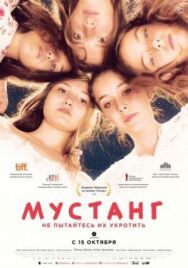 Мустанг постер к фильму смотреть онлайн на HD Rezka