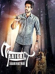 Берегитесь собак постер к фильму смотреть онлайн на HD Rezka