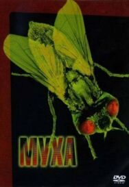 Муха постер к фильму смотреть онлайн на HD Rezka