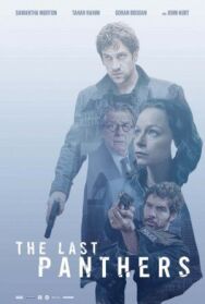 Последние пантеры постер к фильму смотреть онлайн на HD Rezka