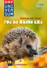 Год из жизни ежа постер к фильму смотреть онлайн на HD Rezka