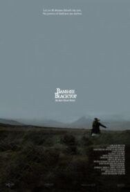 Баньши: история ирландских призраков постер к фильму смотреть онлайн на HD Rezka