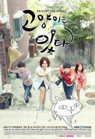 Мой дорогой кот постер к фильму смотреть онлайн на HD Rezka