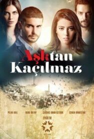 От любви не убежать постер к фильму смотреть онлайн на HD Rezka